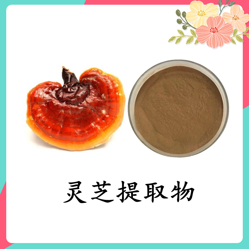 灵芝提取物 10% 20%灵芝多糖 1% 3%三萜 SC备案 斯诺特 可定制