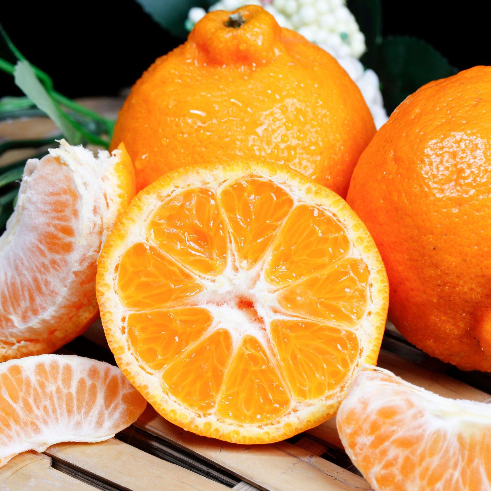 进口水果橙子报关清关注意事项