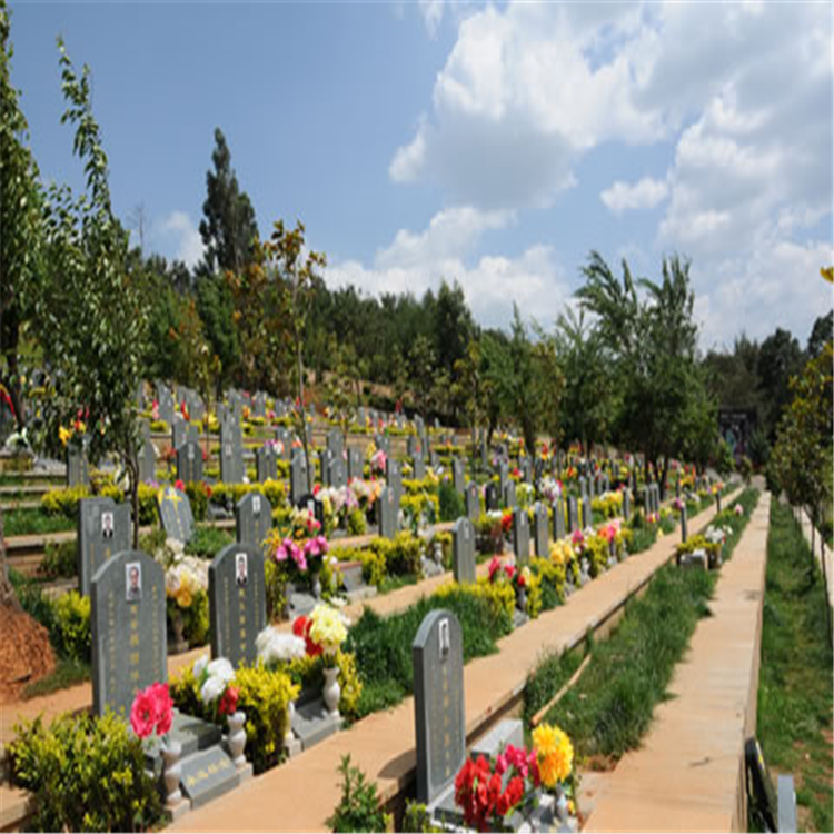 青龙园公墓图片