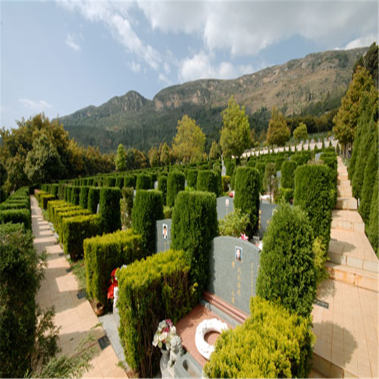 昆明青龙园公墓 单墓3900元双墓10900元起