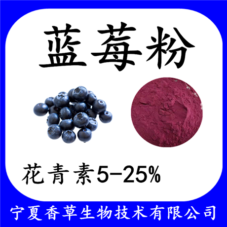 蓝莓粉速溶粉97% 蓝莓汁粉原粉 蓝莓提取物花青素