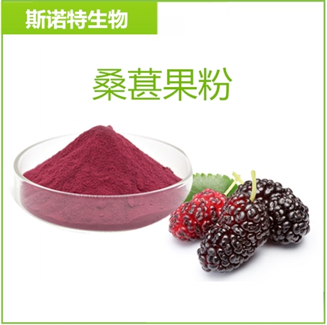 桑葚果粉 供应  水溶桑葚粉  100目  可制粒压片  口感好 斯诺特生物