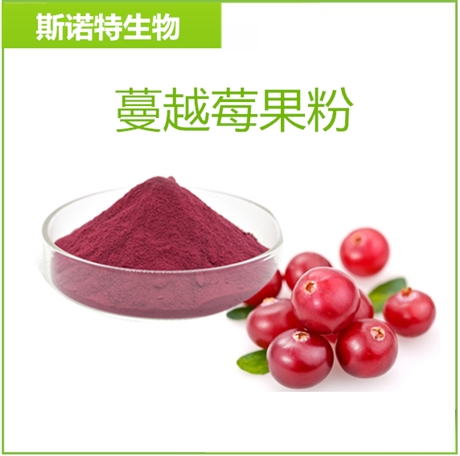 蔓越莓果粉 99%   供应蔓越莓提取物  速溶果粉
