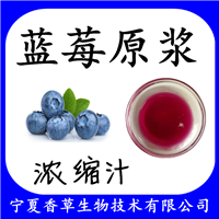 蓝莓原浆浓缩汁97% 蓝莓提取物蓝莓粉  蓝莓花青素