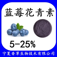 蓝莓花青素5-25% 蓝莓冻干粉  蓝莓提取物蓝莓粉