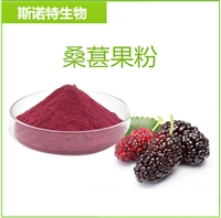 桑葚果粉 供应  水溶桑葚粉  100目  可制粒压片  口感好 斯诺特生物