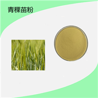 青稞苗粉 10:1  20：1 可定制 水溶