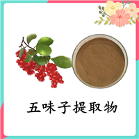 五味子提取物   五味子素 粉末产品  规格可定制 水溶性好