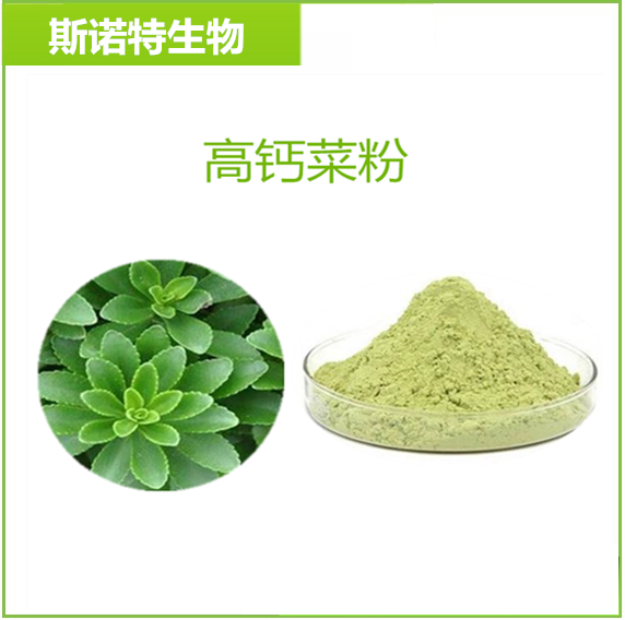 高钙菜粉  养心菜粉   绿色粉末   80目100目 喷雾干燥 水溶性好