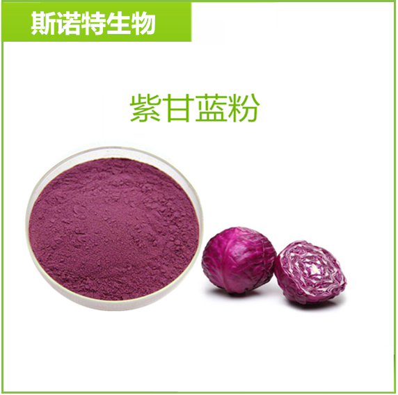 紫甘蓝粉99% 甘蓝生粉 蔬菜粉 紫甘蓝提取物 脱水蔬菜粉 水溶性好
