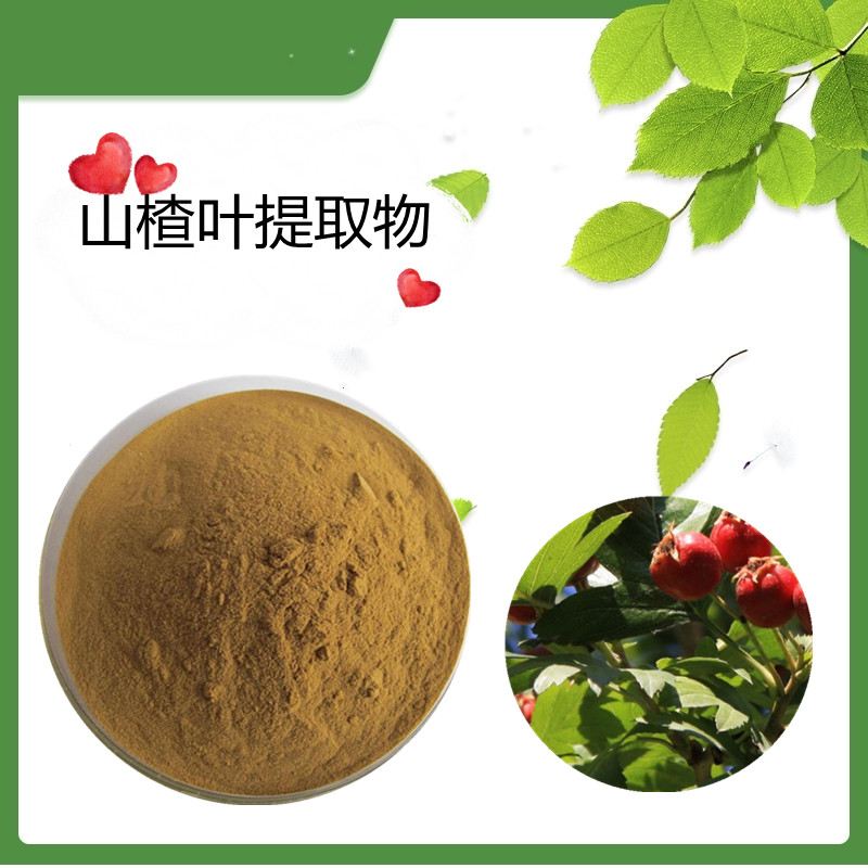 山楂叶提取物2%牡荆素鼠李糖苷 生产许可备案 斯诺特生物