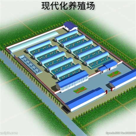 现代化大型轻钢养鸡场 钢结构养殖厂房效果图