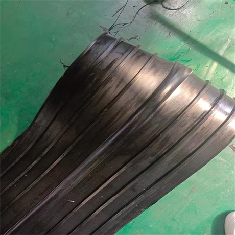cp型中埋橡胶止水带隧道中平中埋式橡胶止水带300mm10mm