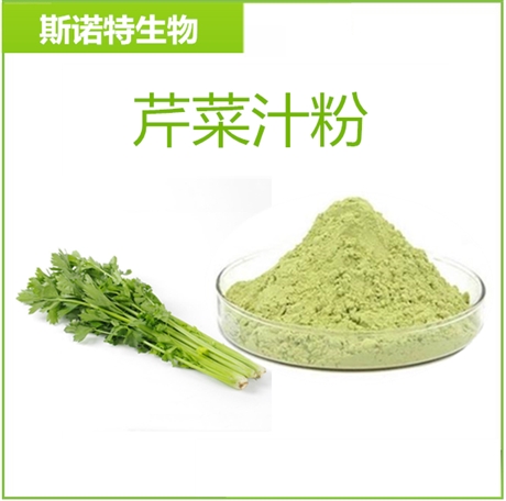 芹菜粉 99%供应芹菜提取物   速溶果蔬粉  水溶性好