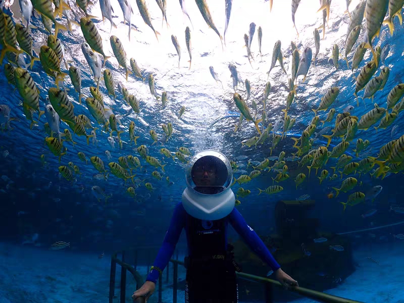 海底漫步头盔水下漫步设备 海上体验项目 潜水漫步帽子