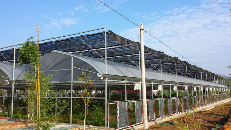 新型日光温室大棚 蔬菜温室大棚工程 温室大棚工程设计