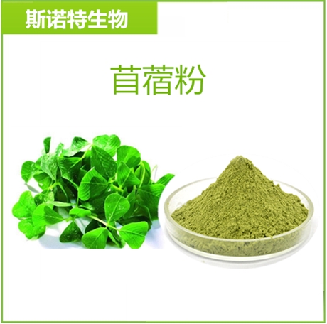 苜蓿粉  喷雾干燥 可溶性苜蓿粉