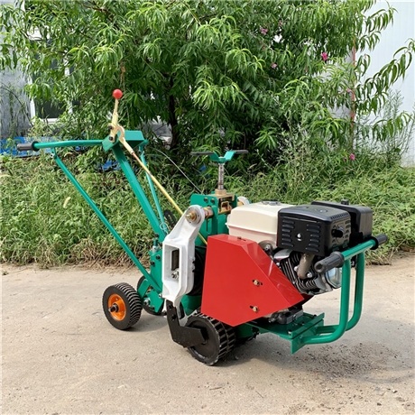 好貨官 內(nèi)燃草坪劃線機(jī)廠家 手推式起草皮機(jī) 草坪移植機(jī)價(jià)格