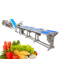 净菜生产线 中央厨房流水线 果蔬加工设备 九盈机械厂家直供