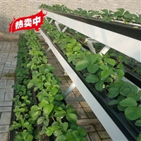 大棚草莓立体种植槽 采摘园蔬菜栽培槽批发