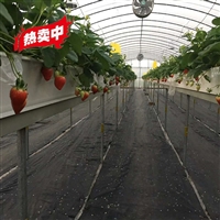 草莓立体种植槽 温室立体蔬菜栽培槽厂家