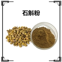 斯诺特生物 石斛粉 全水溶 棕黄色精细粉末 喷雾干燥