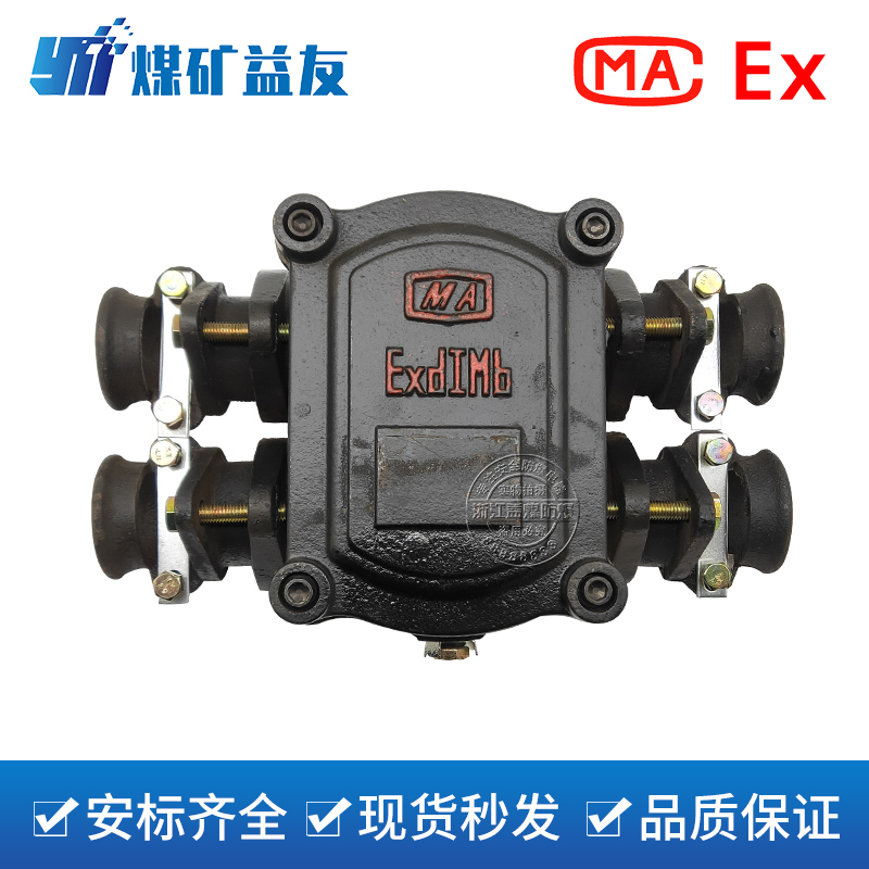 隔爆型电路分支BHD2-100A接线盒