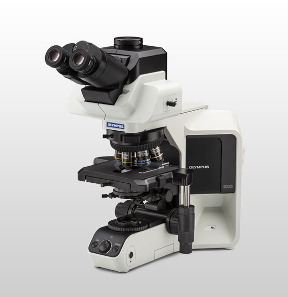 日本原装进口奥林巴斯bx53科研级荧光相差三目显微镜