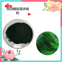 钝顶螺旋藻浓缩粉  水溶   可定制   斯诺特生物