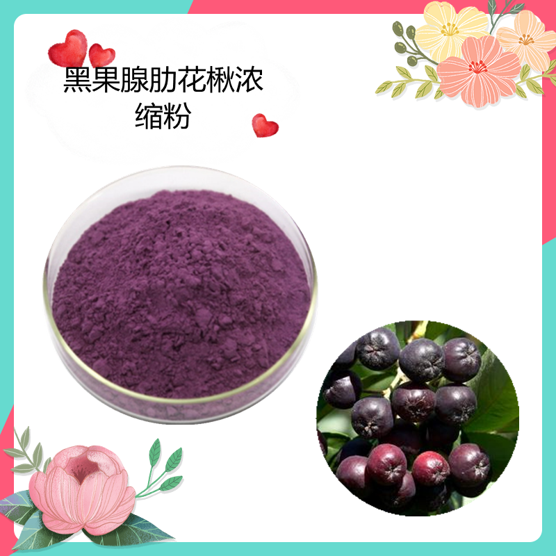 黑果腺肋花楸浓缩粉水溶可定制斯诺特生物