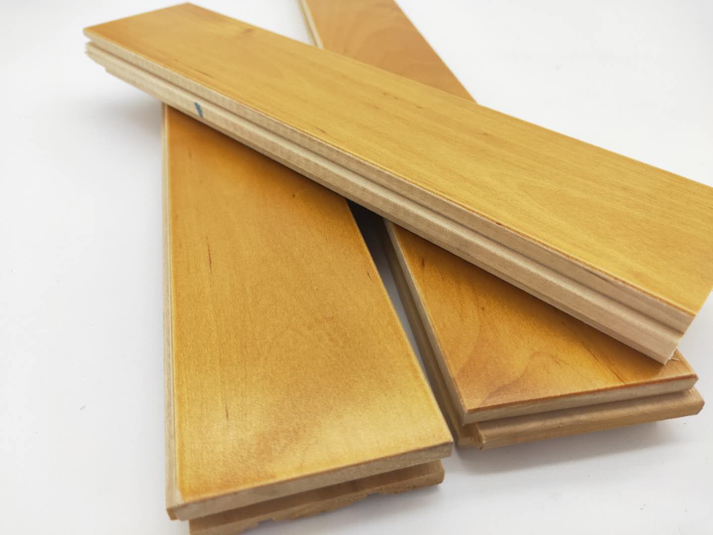 运动木地板学校舞蹈教室枫桦木