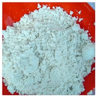 海滨腻子粉钙粉 重庆白云石粉 陶瓷方解石粉 河北超细重钙粉