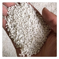 建筑保温 防火珍珠岩 花卉育苗珍珠岩3-6mm 园艺育苗珍珠岩价格