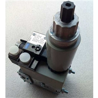 MB-ZRDLE405B01S20 MB-ZRDLE405B01S50冬斯燃气阀组