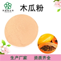 木瓜果粉99% 10：1  水溶粉末 食品饮料原料  斯诺特 木瓜提取物