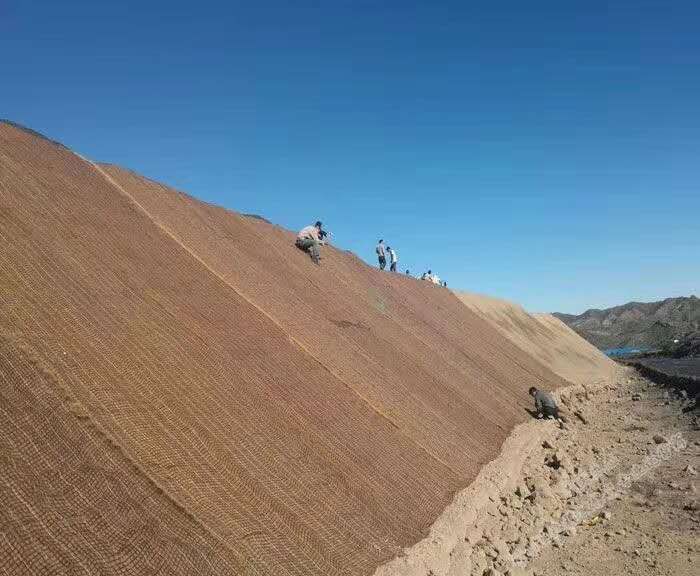抗冲植物毯 浙江河道护坡麻椰生态毯 抗冲植物毯量大优惠