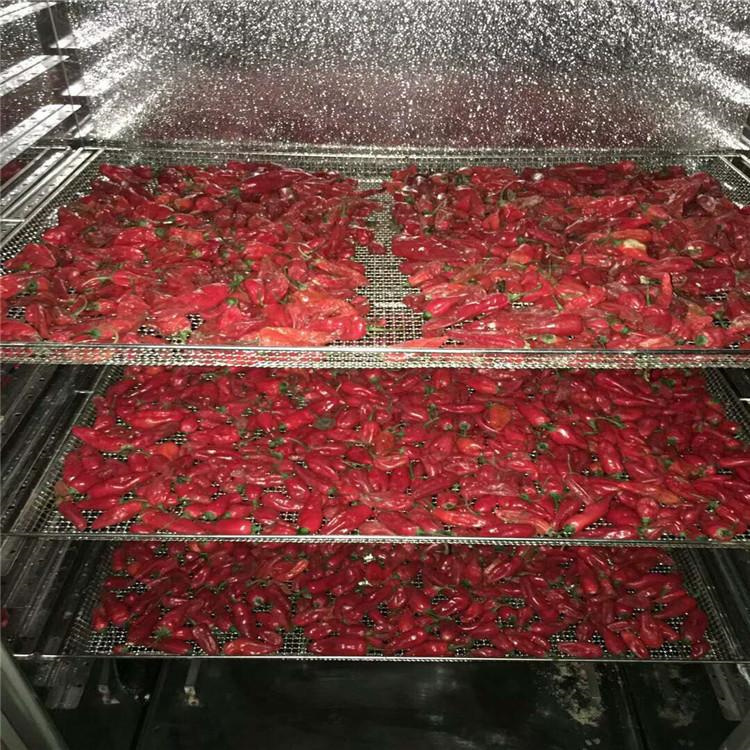 辣椒烘干机精选厂家洋科朝天椒烘干机设备辣椒籽烘干机温度可调