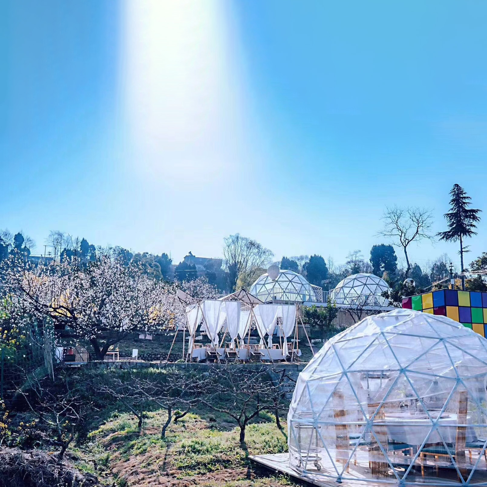 新疆巨赢生产球形玻璃星空房 星空帐篷酒店保温防雨观星观景