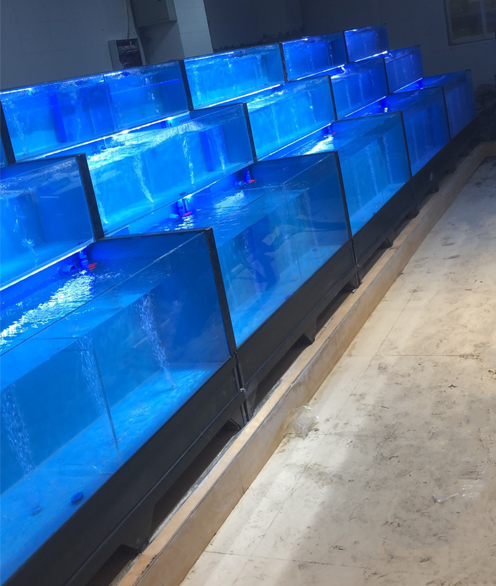 深圳订做小型海鲜池鱼缸厂家