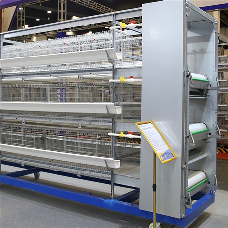 聊城鸡笼厂镀锌铝丝养鸡鸡笼聊城自动化鸡笼整体设计