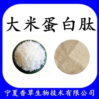 大米肽粉低聚肽1000道尔顿  大米多肽蛋白肽粉 大米提取物