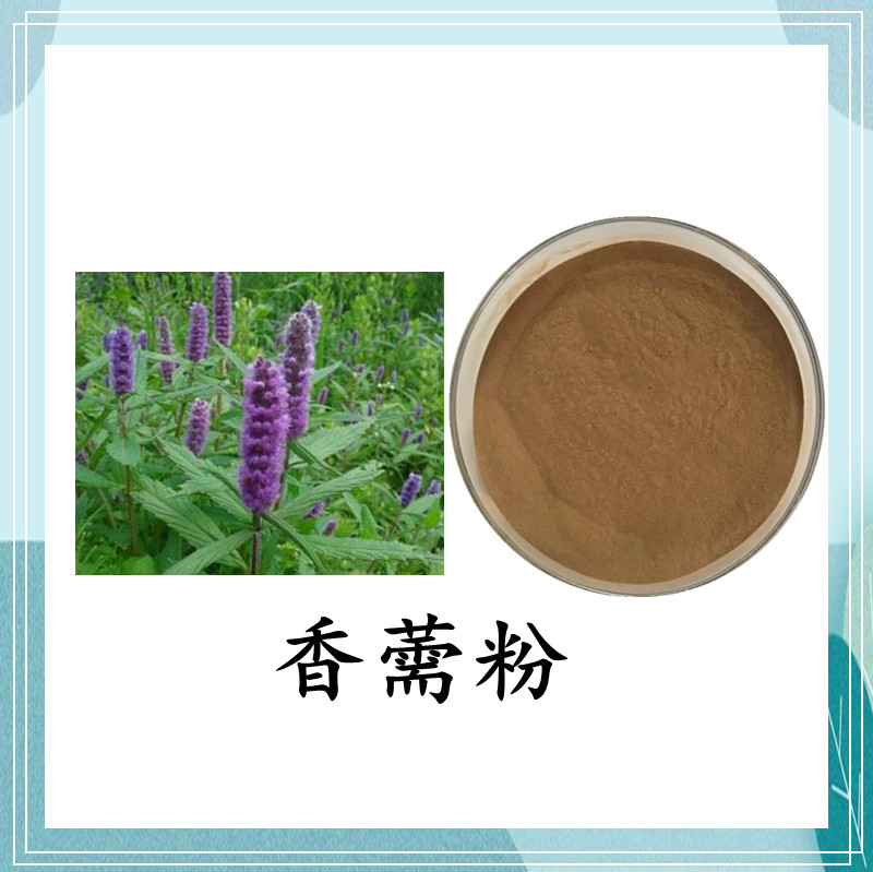水溶香薷粉    香薷提取物10：1  浓缩粉 SC证 食品原料 100粉末