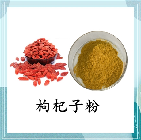 斯诺特生物 枸杞提取物 枸杞多糖 水溶 资质齐全 生产商