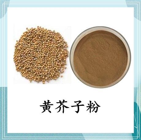 黄芥子萃取粉   黄芥子提取物10:1 药食同源 浸膏粉  可定制