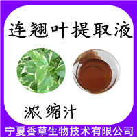 连翘液提取液97%  连翘液提取物  连翘液浸膏