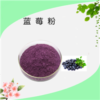 水溶蓝莓粉  蓝莓果粉 食品饮料水溶粉末 规格可定制 花青素5%