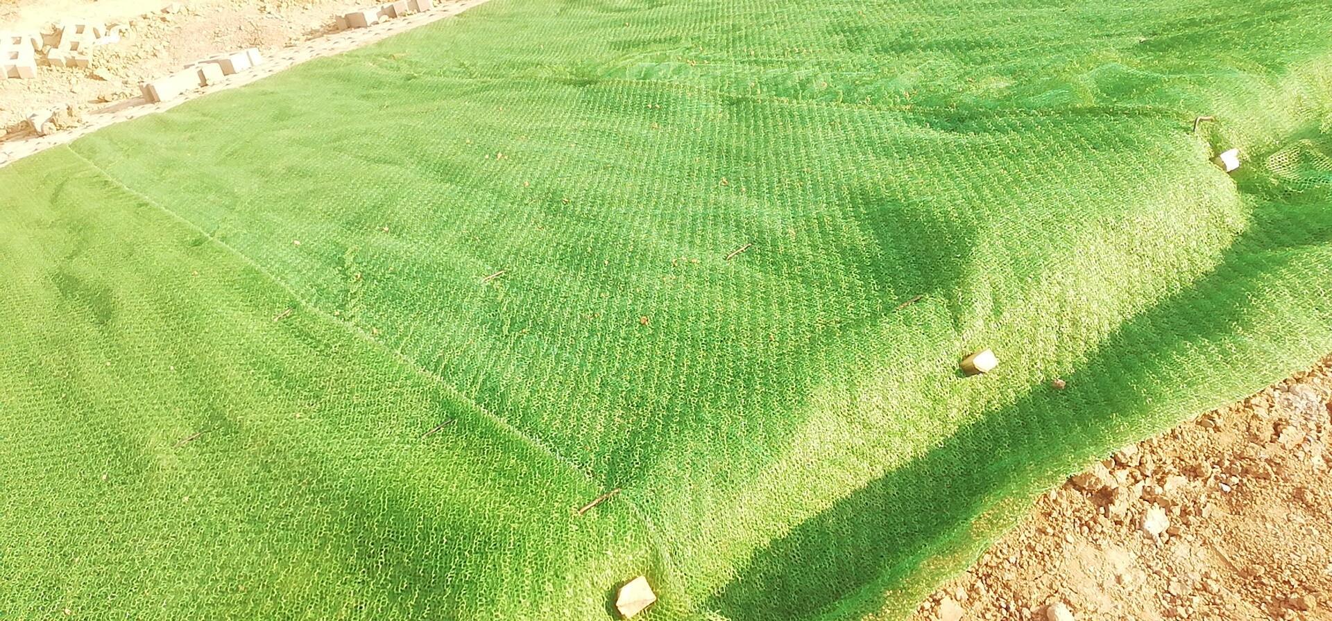 植被网生产厂家植被网施工货到付款