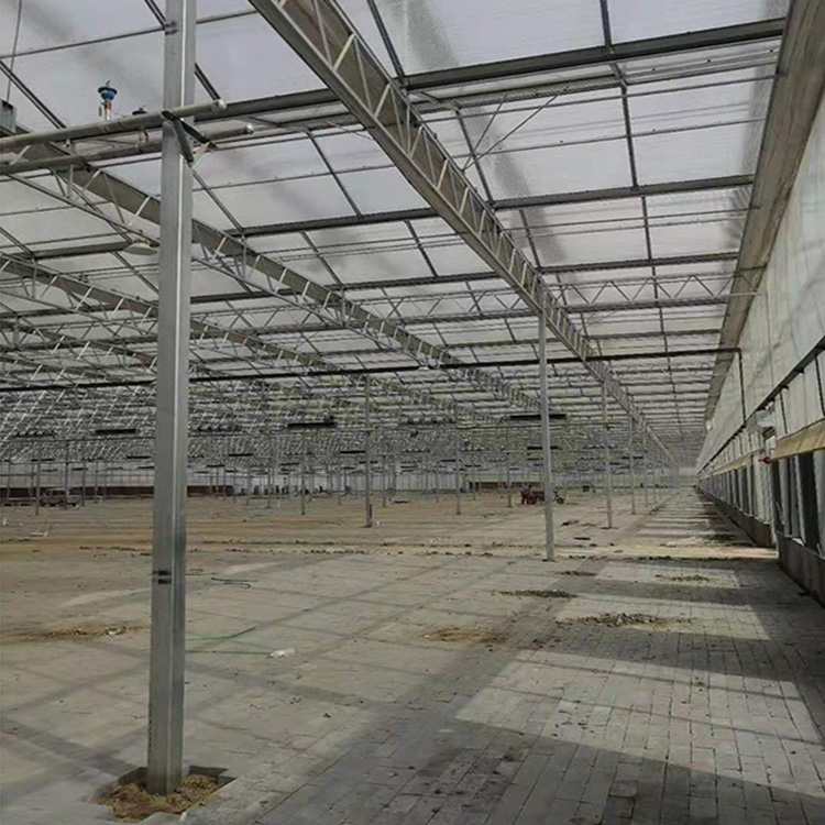 玻璃温室建造商新型玻璃温室大棚花卉大棚