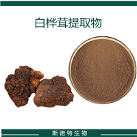 白桦茸提取物 10:1 另有 白桦茸多糖  喷雾干燥 可水溶 斯诺特生物