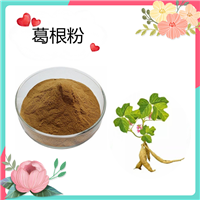 斯诺特生物 葛根提取物 葛根素 药食同源 SC 可定制 全水溶